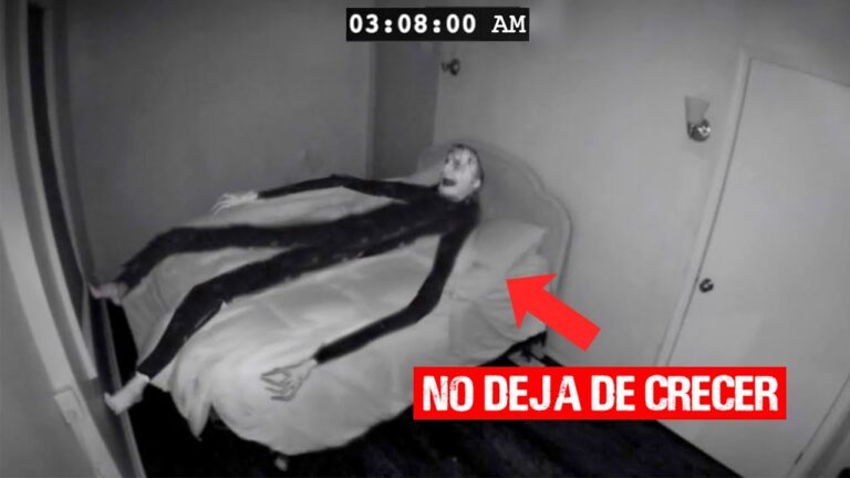 Mejores lugares para disfrutar de una copa nocturna en Teror