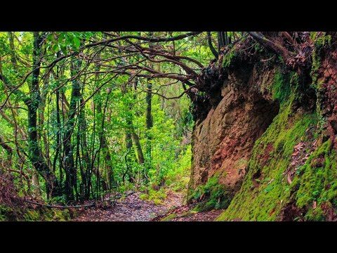 Excursiones Imperdibles Cerca de Valleseco