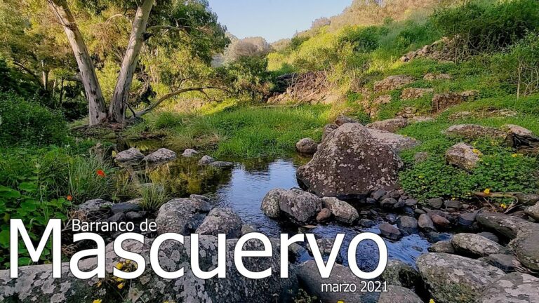 Zonas Verdes con Lagos en Agaete