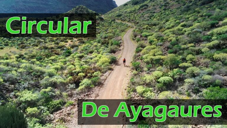 Rutas de Bici de Monta&ntilde;a en G&aacute;ldar: Gu&iacute;a Completa