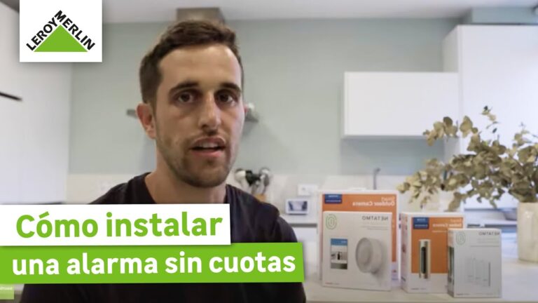 Opciones de Alquiler de Coches en Las Palmas de Gran Canaria