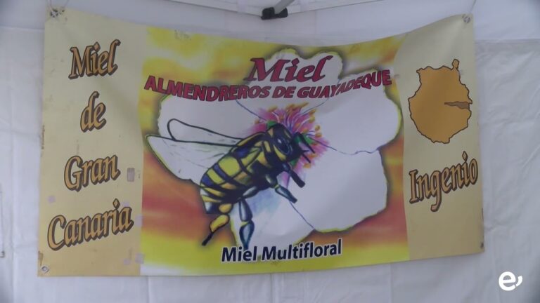 Ferias Artesanales en Moya: Descubre las Mejores Opciones