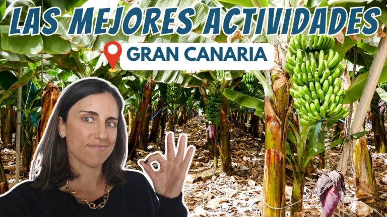 Actividades Acu&aacute;ticas en Agaete: Mejores Destinos y Opciones