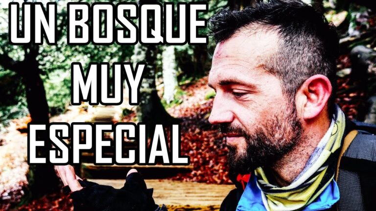 Rutas de Running Imperdibles en Tejeda