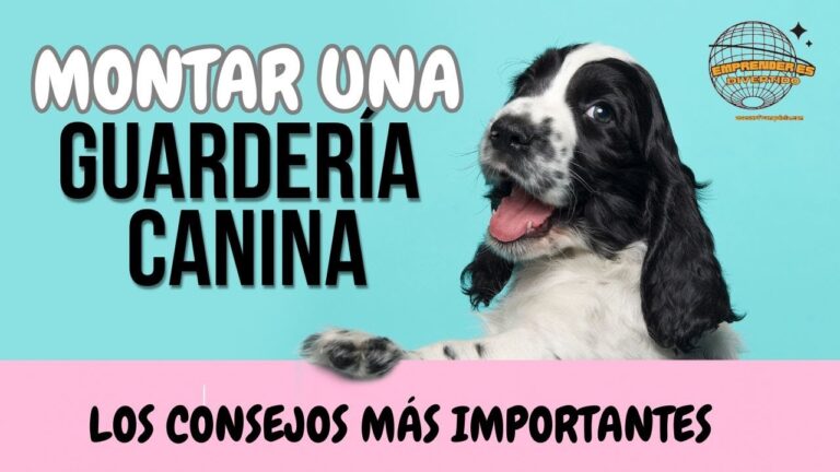 Servicios de Guarder&iacute;a para Mascotas en Gu&iacute;a