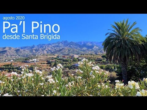 Descubre los Mejores Tours Hist&oacute;ricos en Santa Br&iacute;gida