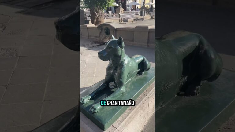 Playas para perros cerca de Agaete: Guía completa