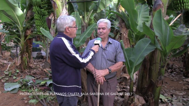 Guía para obtener ayuda familiar en Gáldar