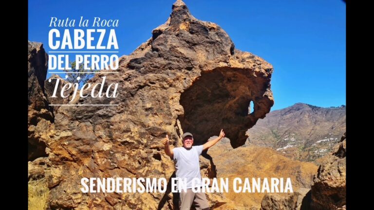 Senderismo con Perros en Valleseco: Mejores Rutas y Consejos