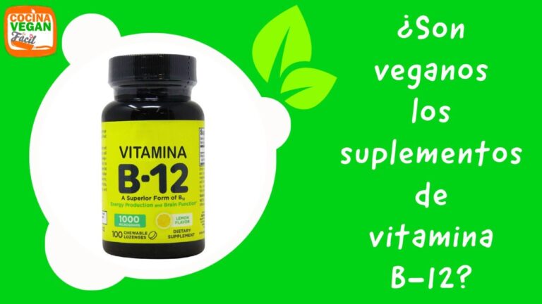 Gu&iacute;a para Comprar Productos Veganos en Moya