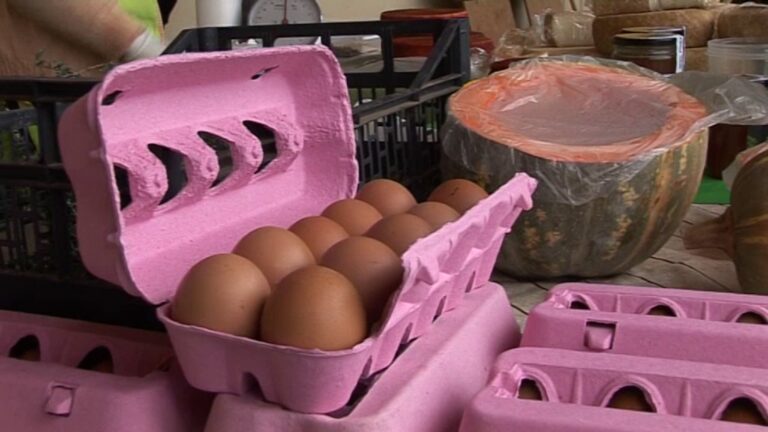 Mercados de Productos Frescos en Las Palmas de Gran Canaria