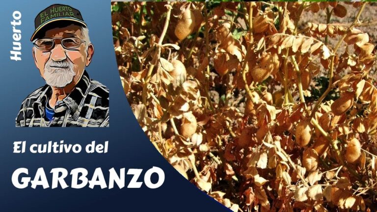 Gu&iacute;a de Compra de Productos para Cultivo Hidrop&oacute;nico en Tejeda