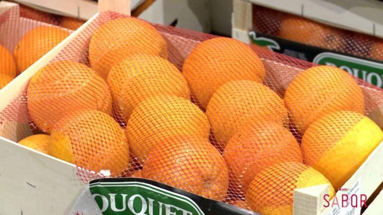 Guía para Comprar Frutas y Verduras Frescas en Las Palmas de Gran Canaria