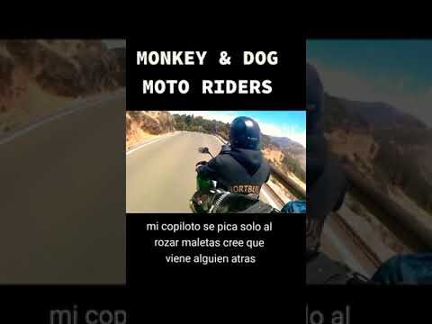 Mejores lugares para comprar maletas en G&aacute;ldar