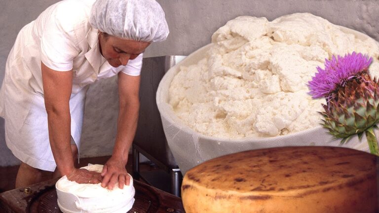 Gu&iacute;a para Comprar Queso Artesano en Las Palmas de Gran Canaria